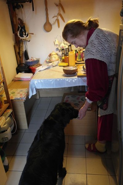 blograretrieverhadházy